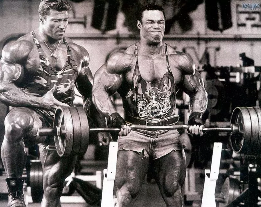 kevin levrone arm workout