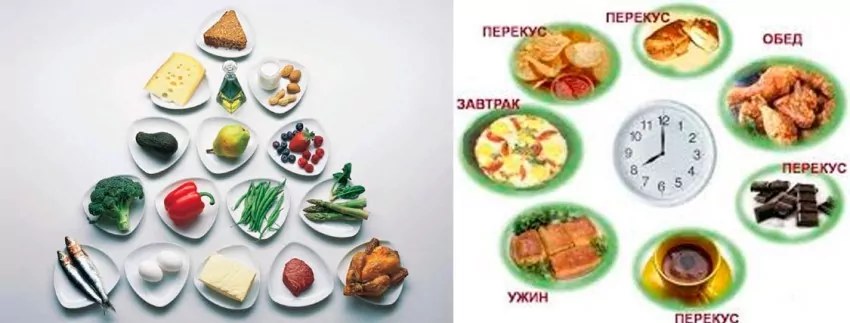 nutrition system