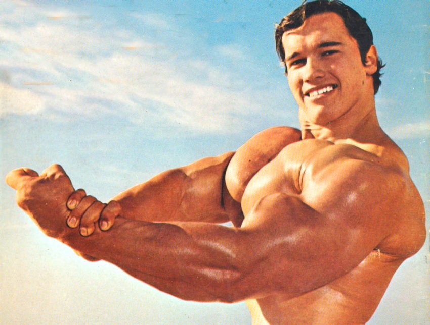 arnold muscles