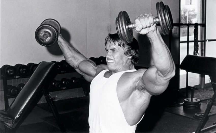 arnold's workout program 2