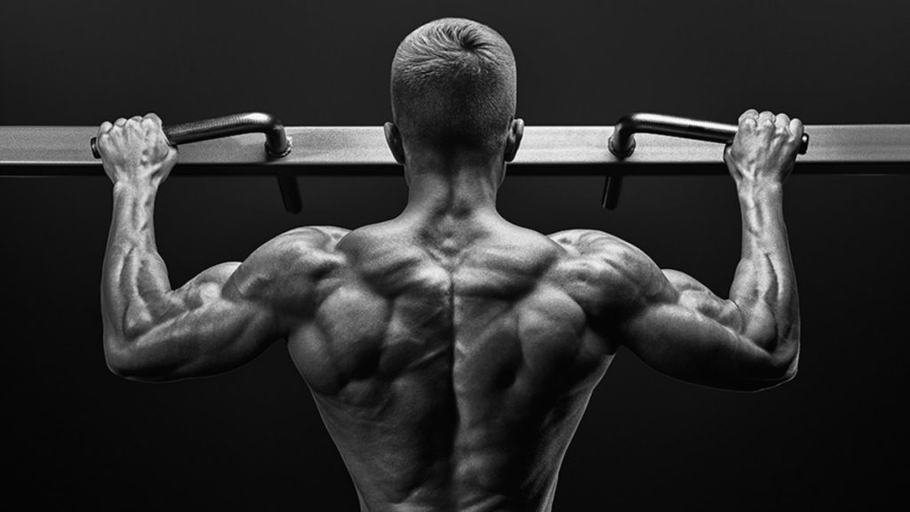 body builder