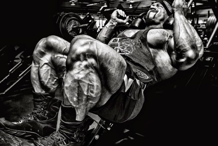 brench warren workout program
