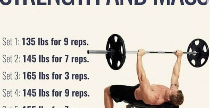chest workouts