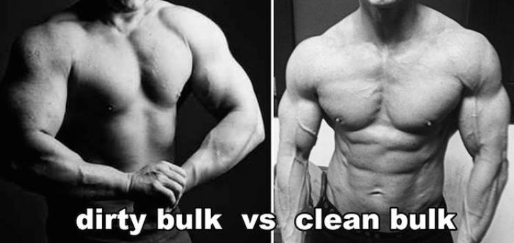clean bulk tips