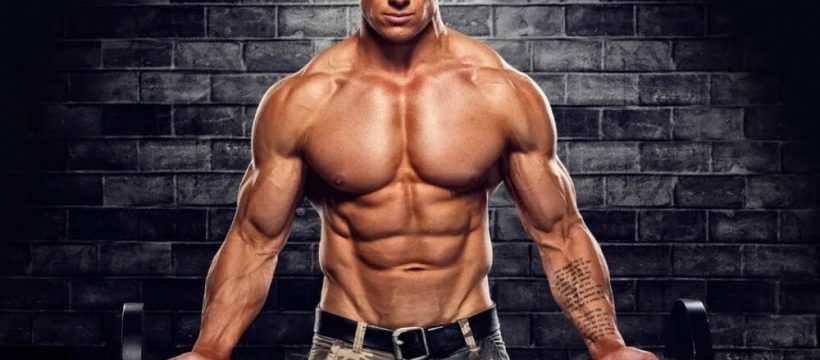 exploring a reliable online source for anabolic steroids in usa