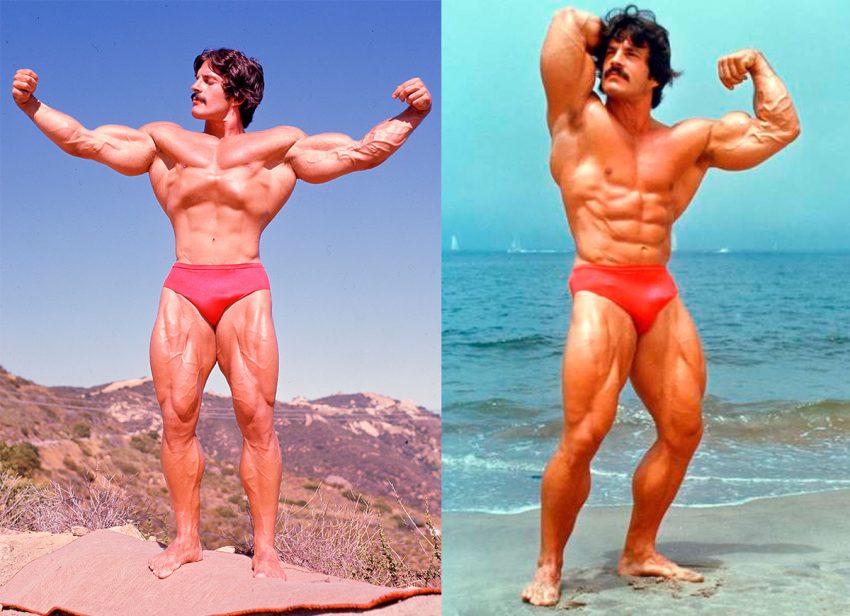 mike mentzer anthropometric data