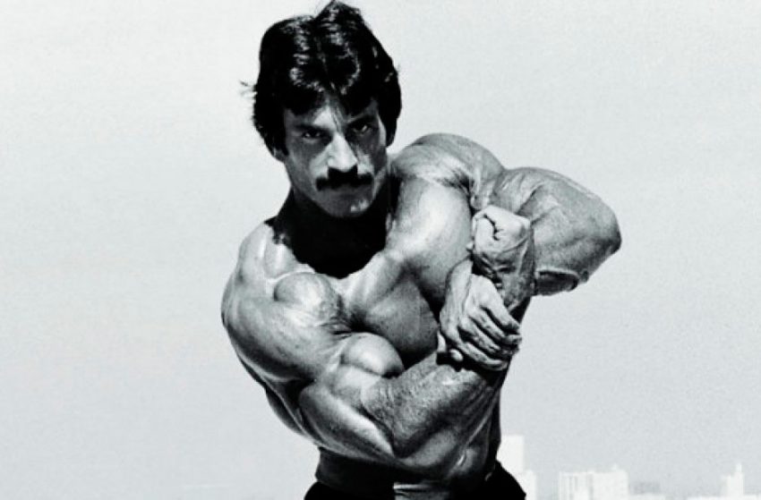 mike mentzer training program