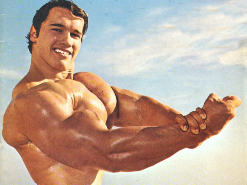 monday: abs, chest, and triceps