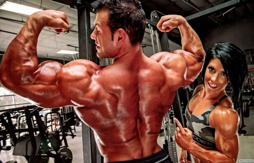 quality muscle building