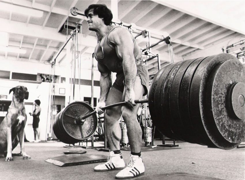 training and nutrition tips from franco columbu
